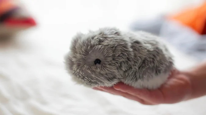 Да ли је Moflin робот