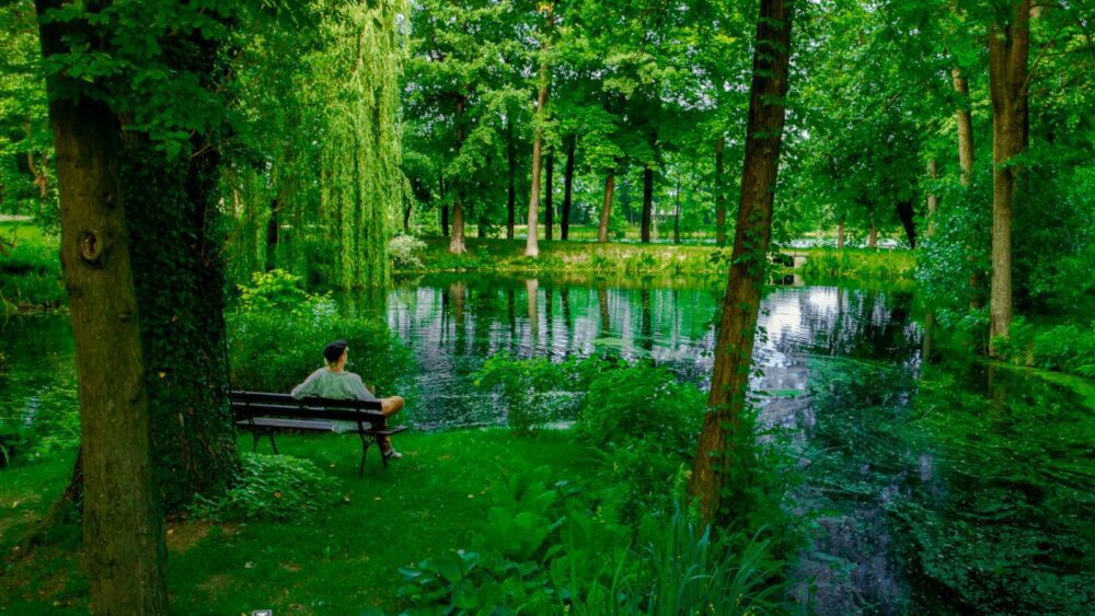 Хотел Манор Хаус Парк