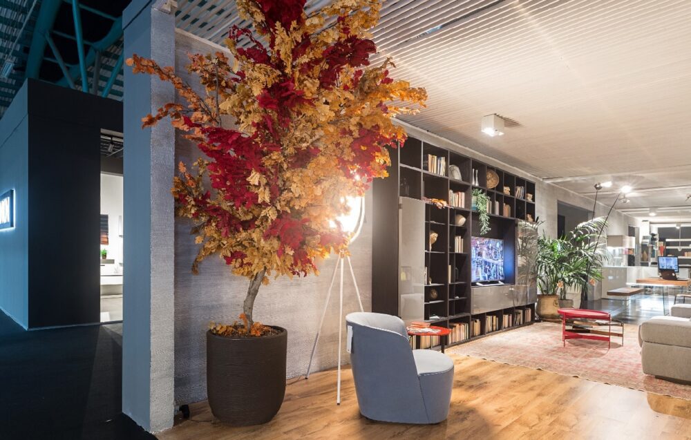 Как стабилизовати биљке Blog