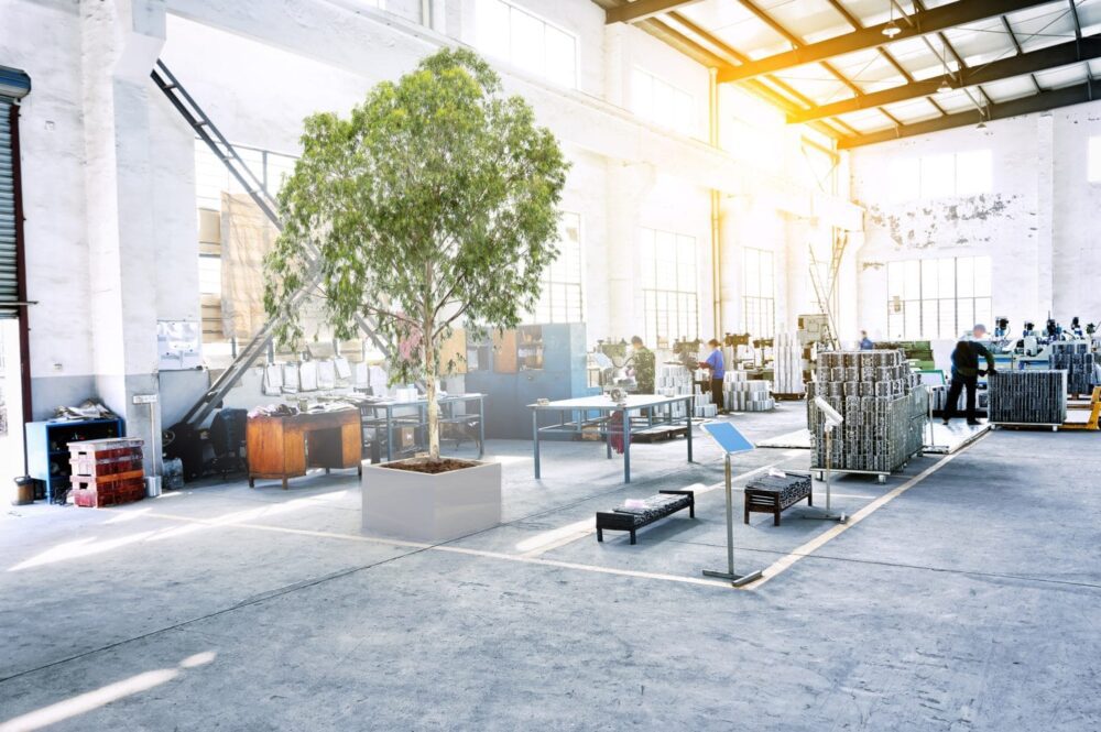 Как стабилизовати биљке