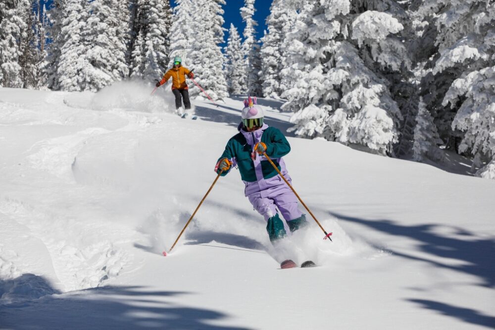 Колико коштају премиум скије