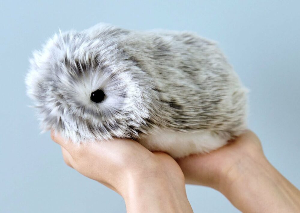 Moflin Да ли се може купити у Пољској