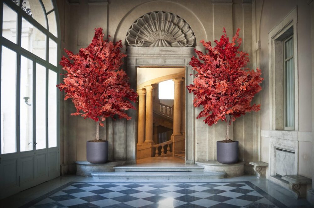 У чему се састоји стабилизација биљака