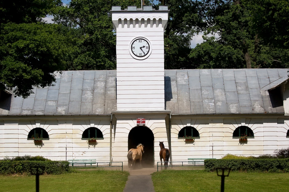 Арабске ергеле у Пољској