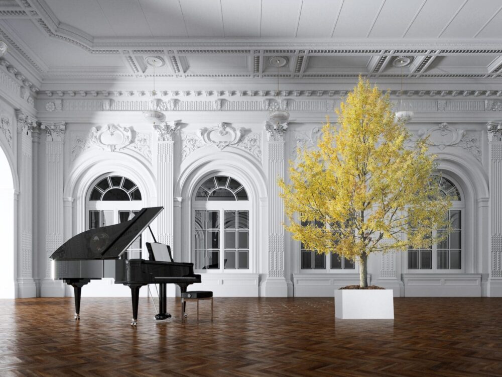 Стабилизоване биљке