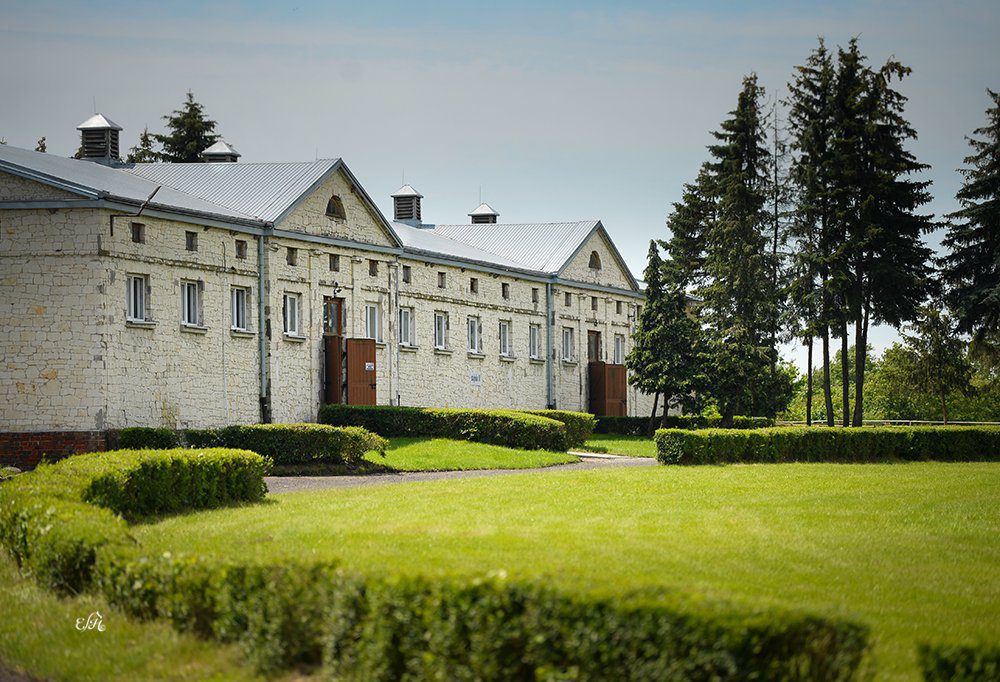 Стаднина Кони Биалка