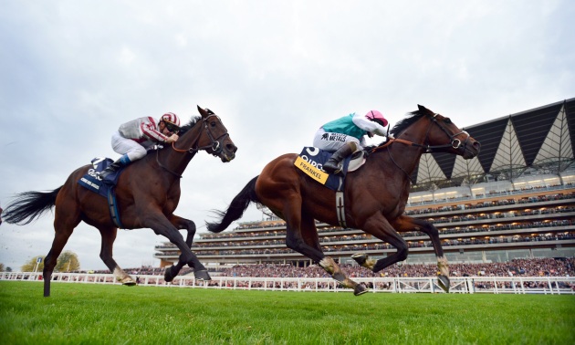 Франкел побеђује испред Cirrus Des Aigles 20 10 12 Фотографија Бил Селвин