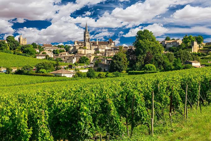 Bordeaux Region Винарски