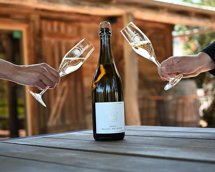 Blanc De Blancs Vs Blanc De Noirs Цена